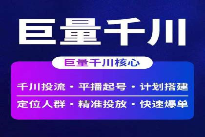 SEO与SEM优化案例：打造行业领先品牌